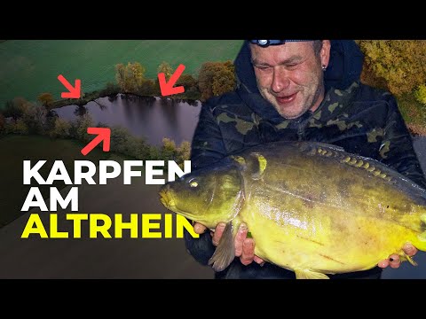 Auf Karpfenjagd am Altrheinarm mit Jens Berntsen - Diese Tipps helfen ihm zum Herbsterfolg!