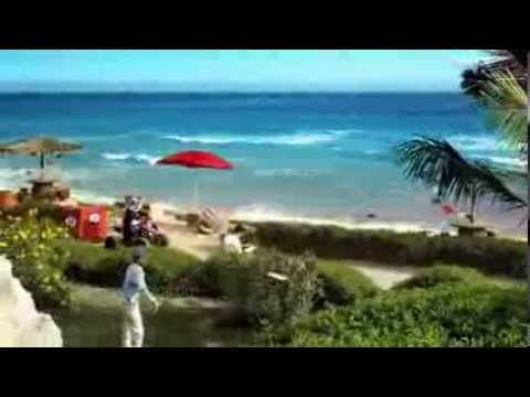 Panda Icecream Commercial