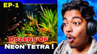 Reacting to your Planted tank set-ups and aquascapes fromm all over India !