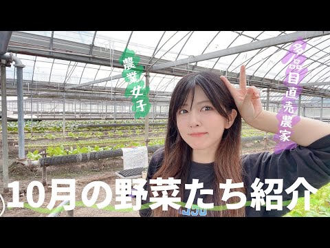 園芸 菜園で野菜を収穫する楽しみ