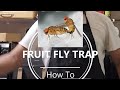 Fruit Fly Trap Tutorial #kitchen #lifehack #diy