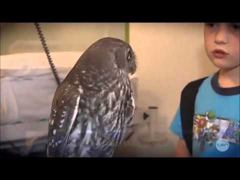 Look how calm she is