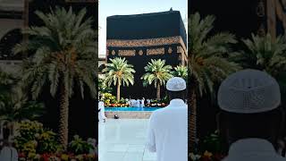 Download lagu mora Sunnira Nobir Dioyana #viral #shorts mp3