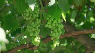 Team 02 UVigo Aerotech Aine | Business Model | XtraChallenge 2025