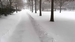 Boston Winter storm ⛈ 2022