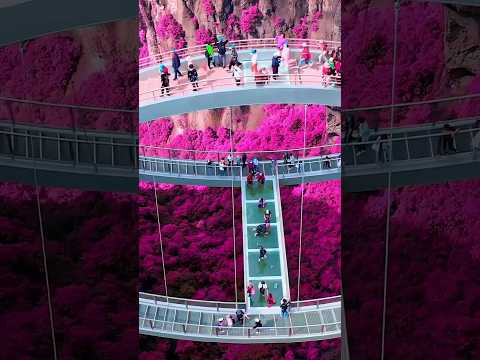 Tum Jo Aaye jindagi mein,😍🥰#shorts #habiba