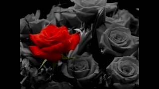 CUANDO VAYAS CONMIGO       JOSÉ JOSÉ