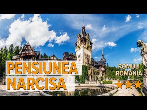 Pensiunea Narcisa hotel review | Hotels in Romuli | Romanian Hotels