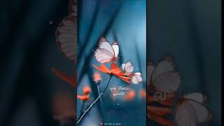 Download lagu Love old songs whatsapp staus tamil❤Love feel song whatsapp  status tamil🤩SPB song whatsapp status mp3