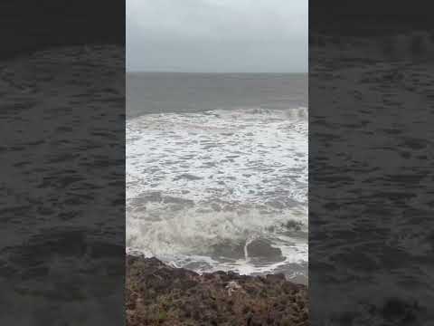 Diu Nagore beach #damananddiu #diu #trendingshorts #shortsfeed #youtubeshorts #beach #viral #shorts