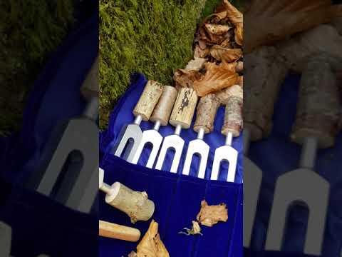 Shamanic Tree Tuning Forks