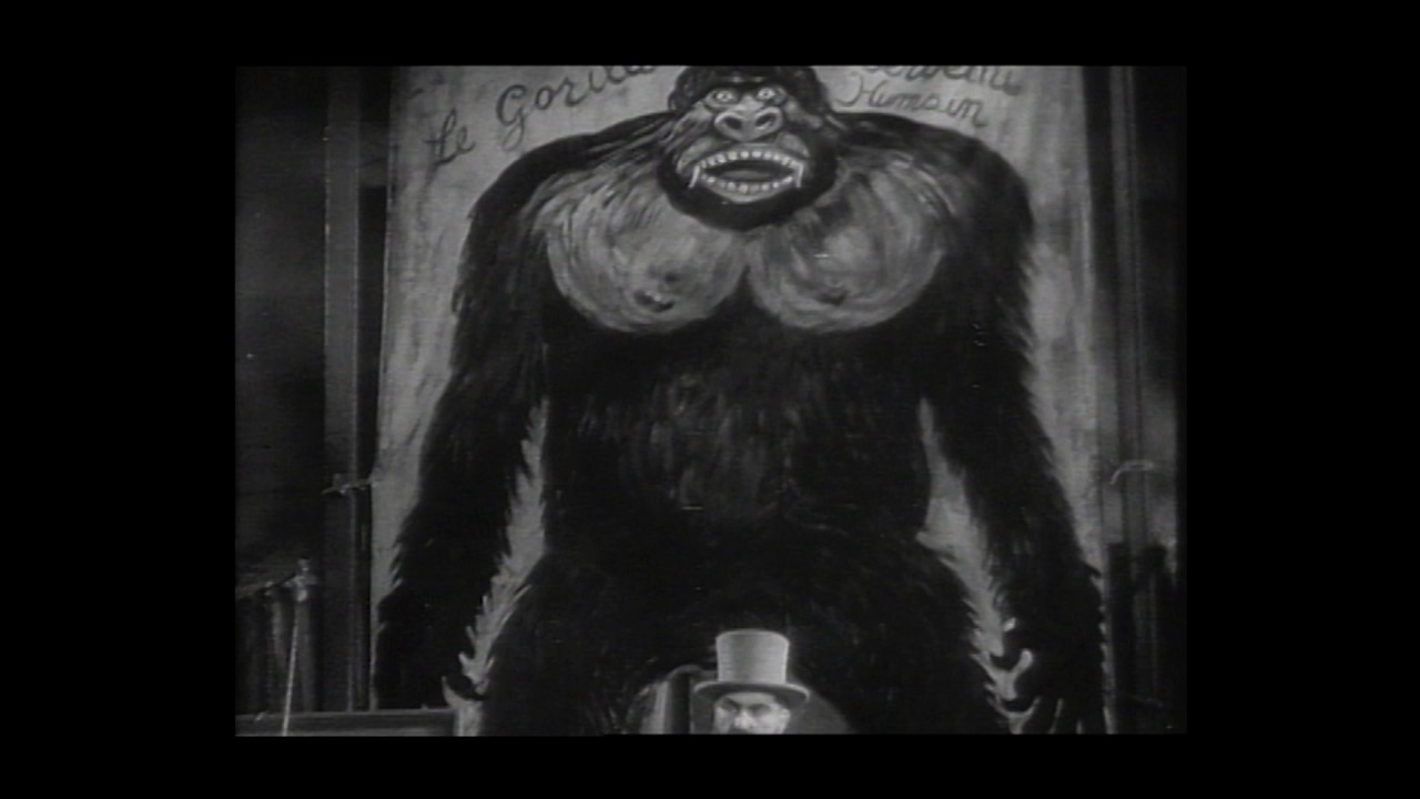 Miniature de la vidéo Bande-annonce : Double assassinat dans la rue Morgue (Trailer VOSTFR - HD) du film Double assassinat dans la rue Morgue