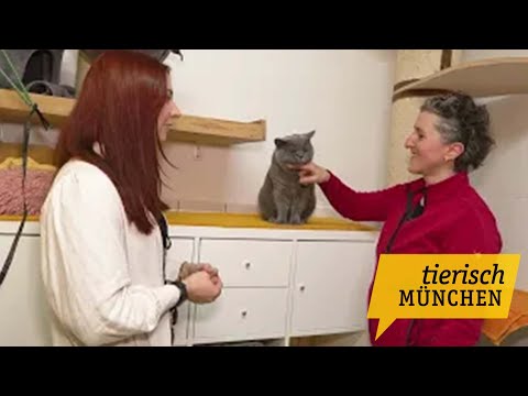 Tierisch München vom 27.02.2023