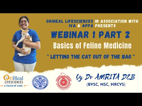 Basics of Feline Medicine, Letting The Cat Out of The Bag. Webinar 1 Part 2. Level 1 Course