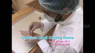 Download lagu LAPTOP SI UNYIL - RAHASIA FLORA (26/5/17) 3-3 mp3