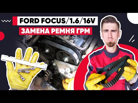 ЗАМЕНА РЕМНЯ ГРМ /// FORD FOCUS /// 2004 /// 1.6 16v