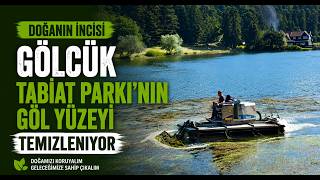 Gölcük Tabiat Parkı'nın Göl Yüzeyi Temizleniyor