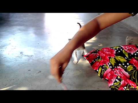 Funny videos Fail  2014