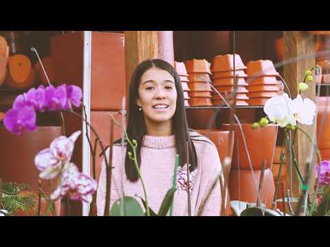 Video de Aplicacion para ser Au Pair