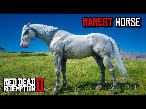 All 15 Rare Horse Locations - RDR 2