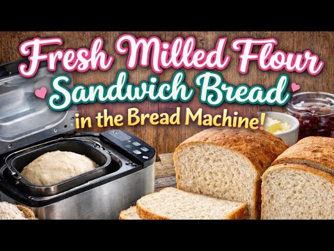 Fresh-Milled Flour Sandwich Bread | Soft, Fluffy, tasty. The Softest Sandwich Loaf Ever!