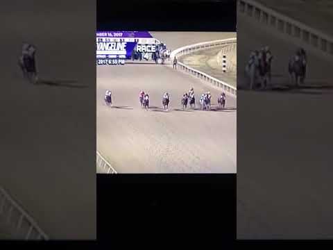 Jd cartel evangeline downs