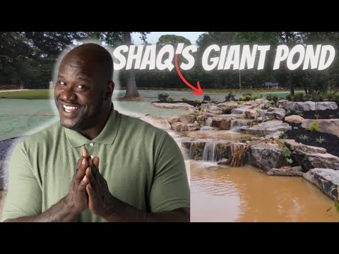 Shaq's $500,000 Koi Pond We Built with Aquascape!