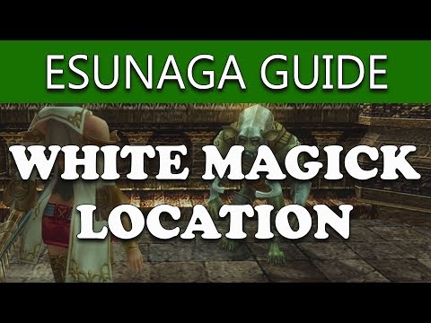 Final Fantasy XII The Zodiac Age ESUNAGA MERCHANT LOCATION - How To Get Esunaga Guide