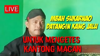 Download lagu INI KAH KHODAM KANTONG MACAN YANG MELEGENDA mp3 Download lagu INI KAH KHODAM KANTONG MACAN YANG MELEGENDA mp3