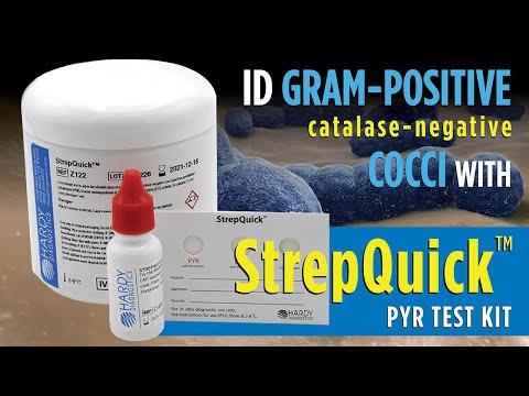Strepquick Pyr Test Kit For Rapid Group A Strep Identification