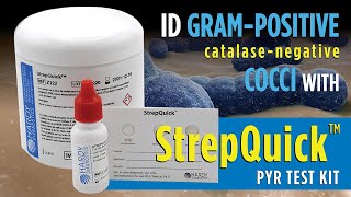 StrepQuick™ PYR Test Kit for rapid Group A Strep Identification