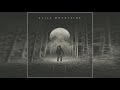 Still Mountains - Still Mountains (2021) (Full Album)