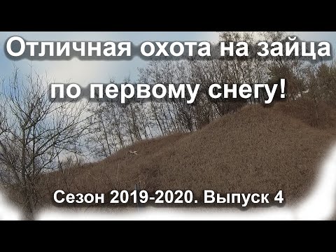 Отличная охота на зайца по первому снегу! Сезон 2019-2020. Выпуск 4