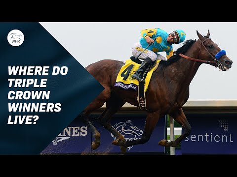 Where do Triple Crown winners retire to? Coolmore.