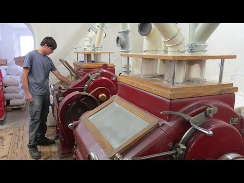 Ausbildung als Verfahrenstechnologe/-technologin in der Mühlen- und Futtermittelwirtschaft