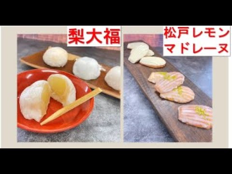 ☆総合文化学科1年　地域交流プラザ　～2021年度　地域貢献活動の紹介～