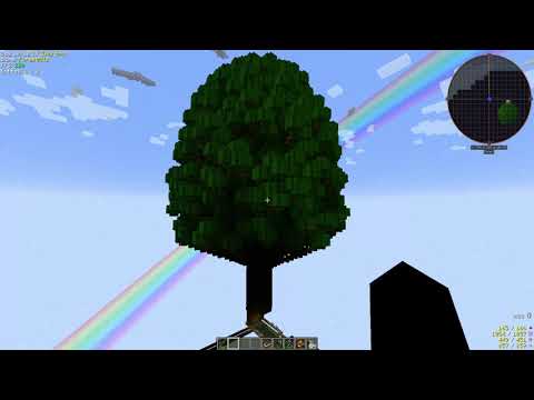 Sacred Rubber Tree Sapling