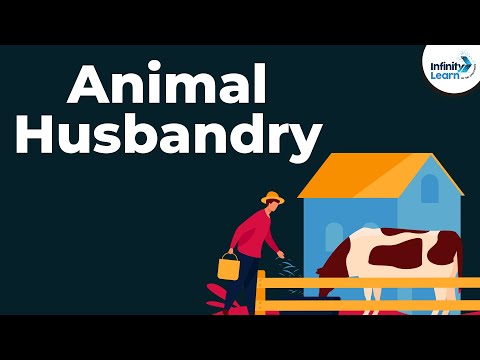 Animal Husbandry and Cattle Farming | Don't Memorise