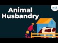 Animal Husbandry And Cattle Farming Don T Memorise