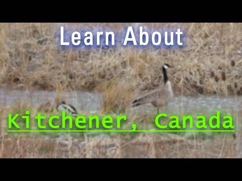 Where is Kitchener? Essential Kitchener city information.