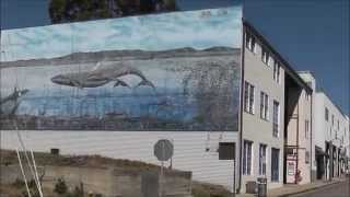 preview picture of video 'Cannery Row Monterey California http://twitter.com/CanrowMonterey'