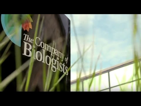 The Company of Biologists: who we are and what we do