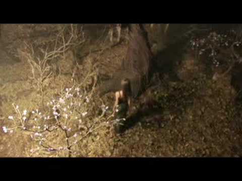 Voz Veis - Pedacito de tu Querer