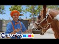 Blippi Visits Danny S Farm Educational Videos For Kids Playground For Children Moonbug Kids