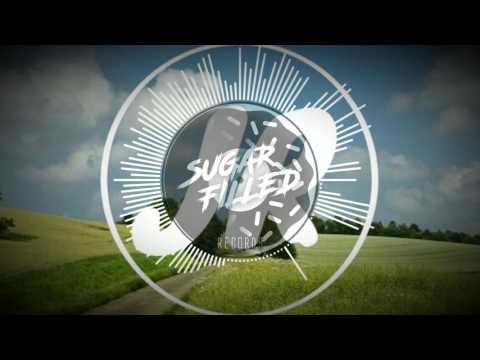 Jannster - In The Fields (SUGAR FILLED Records Release)