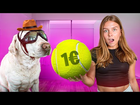 Tilasin OUTOJA Tavaroita Mun Koiralle! 😃