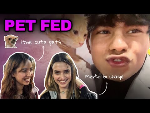 Itne cute pets 😭❤️