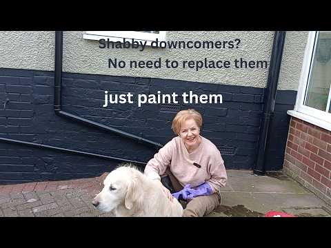 Prepping the courtyard area for Spring