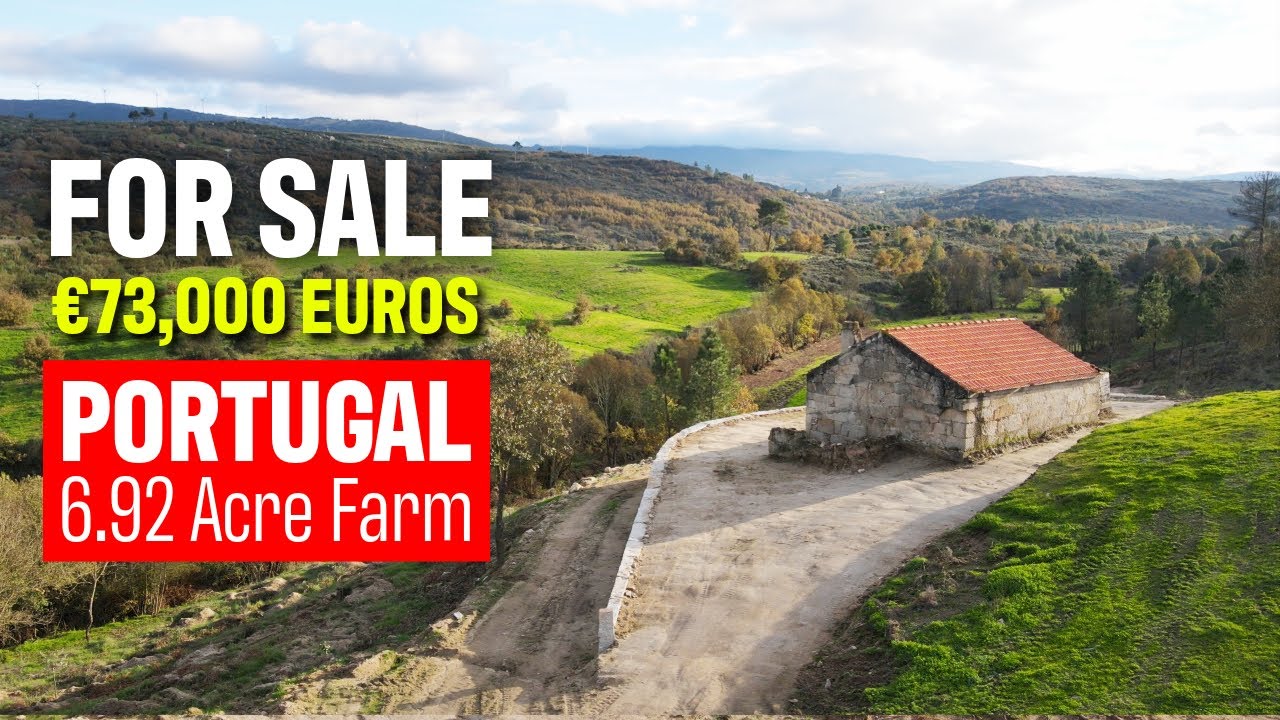 Portugal Farm Paradise for Sale! 2 Stone Houses, Stunning Views & Renovation Ready 🌿