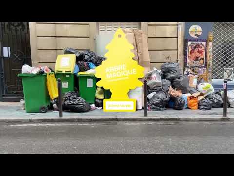 2023 03 Arbre Magique rues de Paris Alexandre Annequin